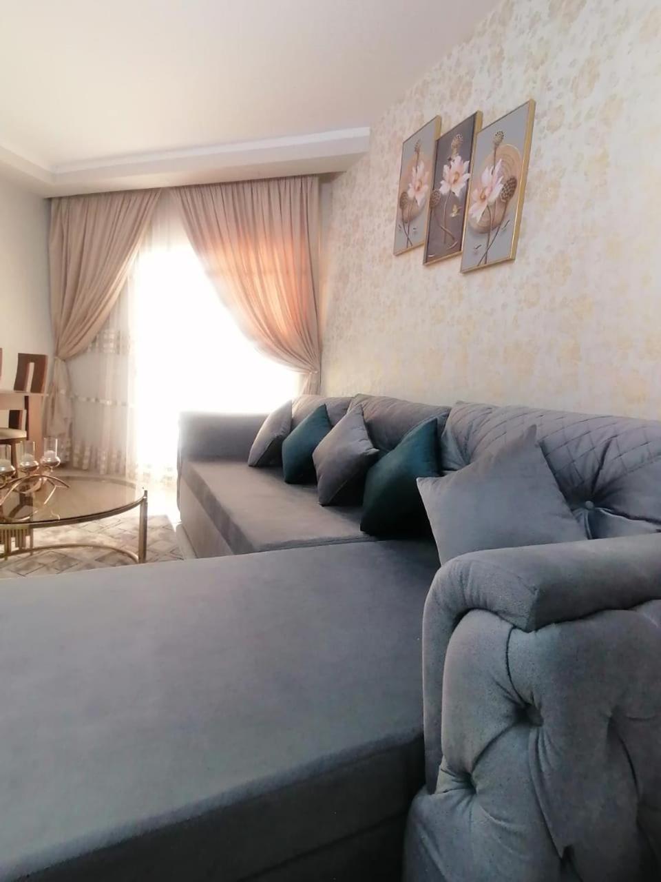Apartament Scandic *